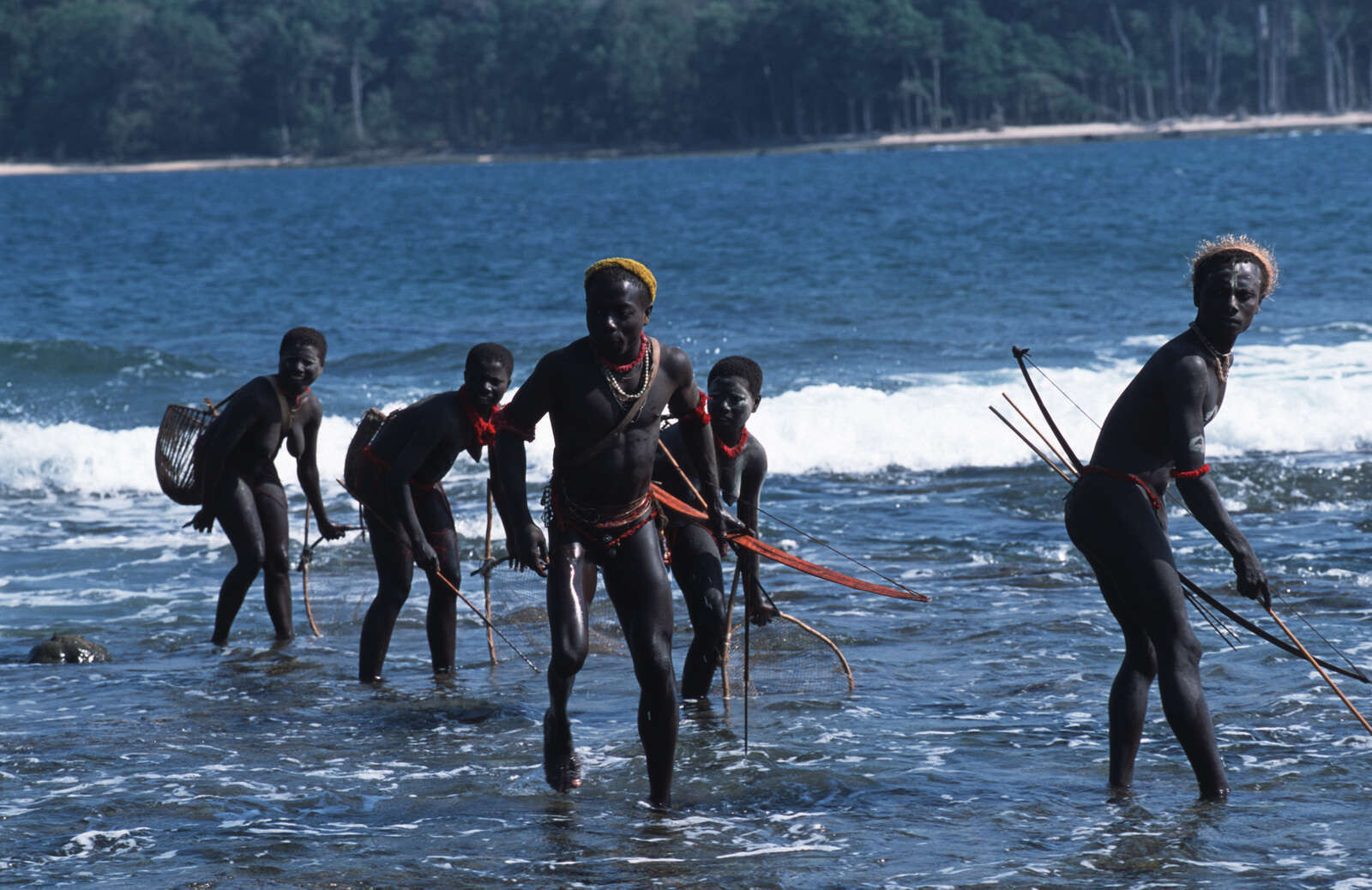 The twilight of the Andaman Jarawa